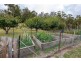 25 Turn Creek Road, Grove TAS 7109