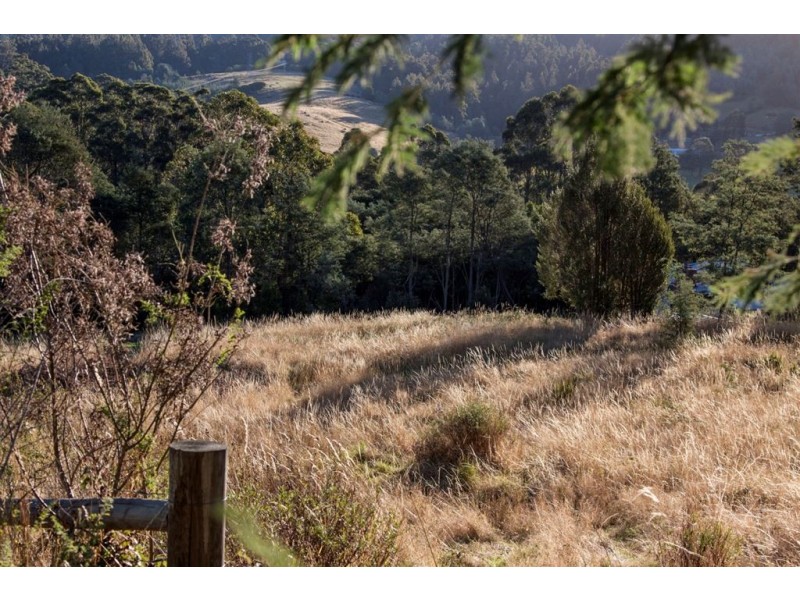 154 Jacksons Road, Franklin TAS 7113