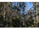 154 Jacksons Road, Franklin TAS 7113