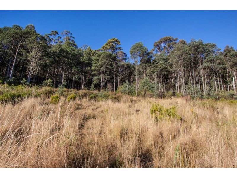 154 Jacksons Road, Franklin TAS 7113