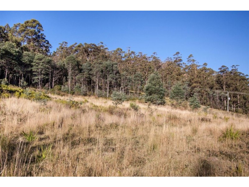 154 Jacksons Road, Franklin TAS 7113