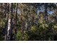 154 Jacksons Road, Franklin TAS 7113
