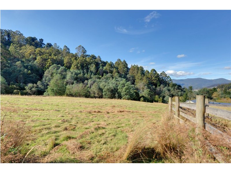 224 Swamp Road, Franklin TAS 7113