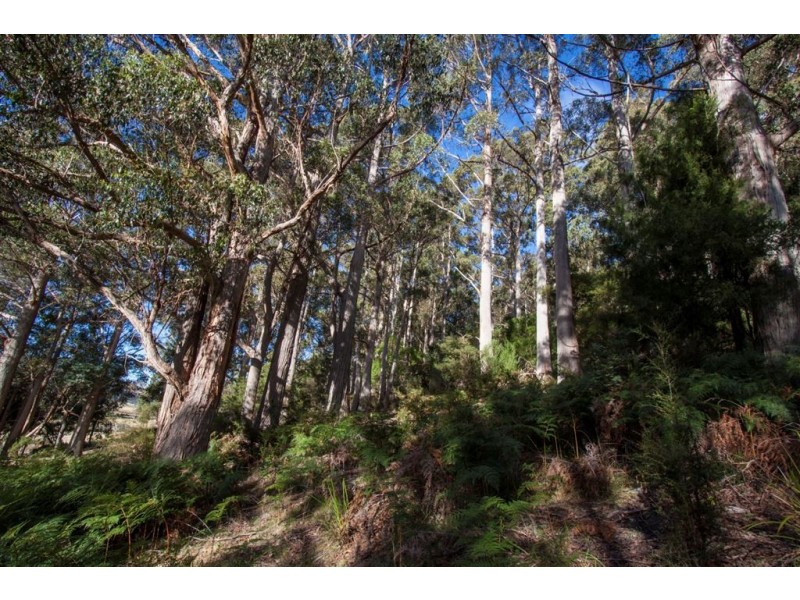 Lot 2 Kermandie River Road, Geeveston TAS 7116