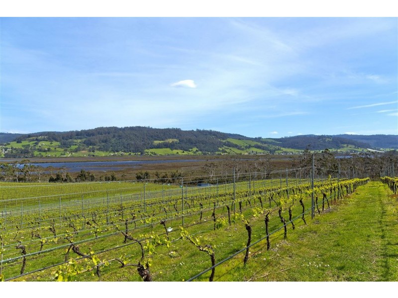 Lot 2 1854 Cygnet Coast Road, Cradoc TAS 7109