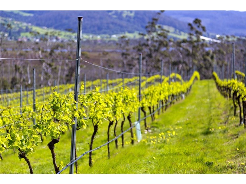 Lot 2 1854 Cygnet Coast Road, Cradoc TAS 7109