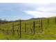 Lot 2 1854 Cygnet Coast Road, Cradoc TAS 7109
