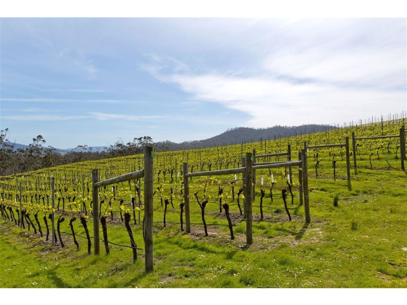 Lot 2 1854 Cygnet Coast Road, Cradoc TAS 7109