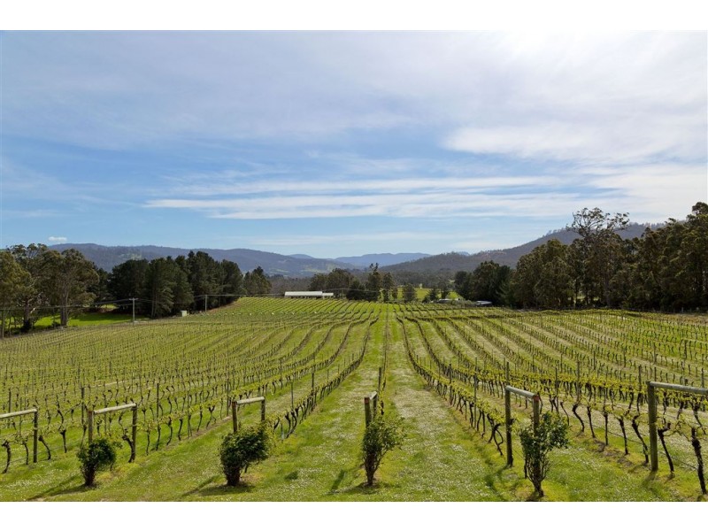 Lot 1 1854 Cygnet Coast Road, Cradoc TAS 7109