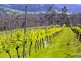 Lot 1 1854 Cygnet Coast Road, Cradoc TAS 7109