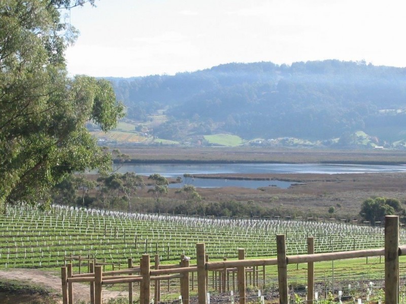 Lot 2 1854 Cygnet Coast Road, Cradoc TAS 7109