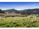 43 New Road, Franklin TAS 7113