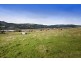 43 New Road, Franklin TAS 7113