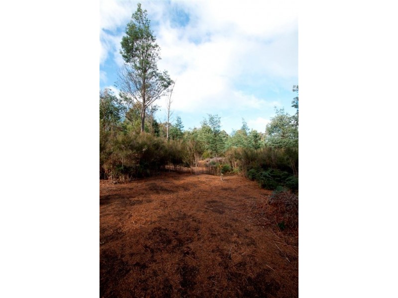Lot 1 Vincents Road, Pelverata TAS 7150