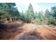 Lot 1 Vincents Road, Pelverata TAS 7150