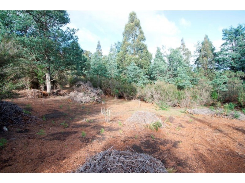 Lot 1 Vincents Road, Pelverata TAS 7150
