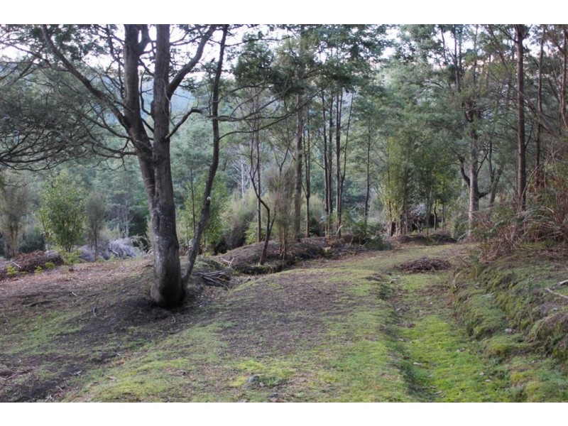 Lot 1 Vincents Road, Pelverata TAS 7150