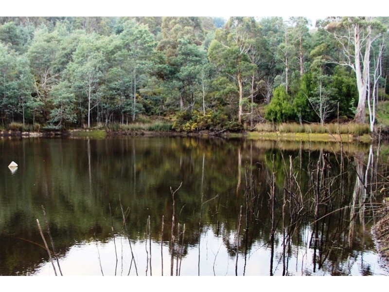 428 Cygnet Coast Road, Petcheys Bay TAS 7109