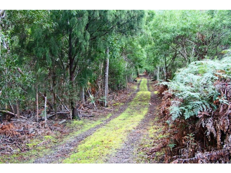428 Cygnet Coast Road, Petcheys Bay TAS 7109