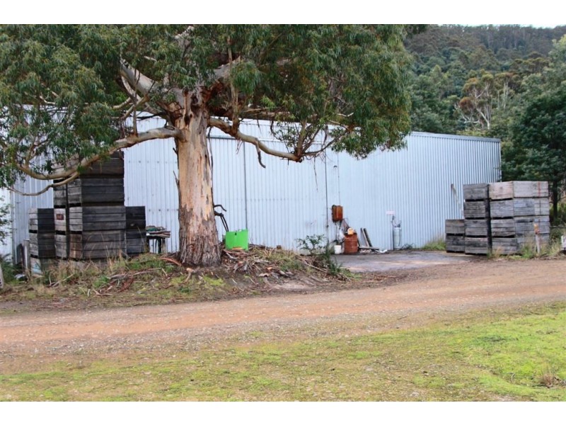 428 Cygnet Coast Road, Petcheys Bay TAS 7109