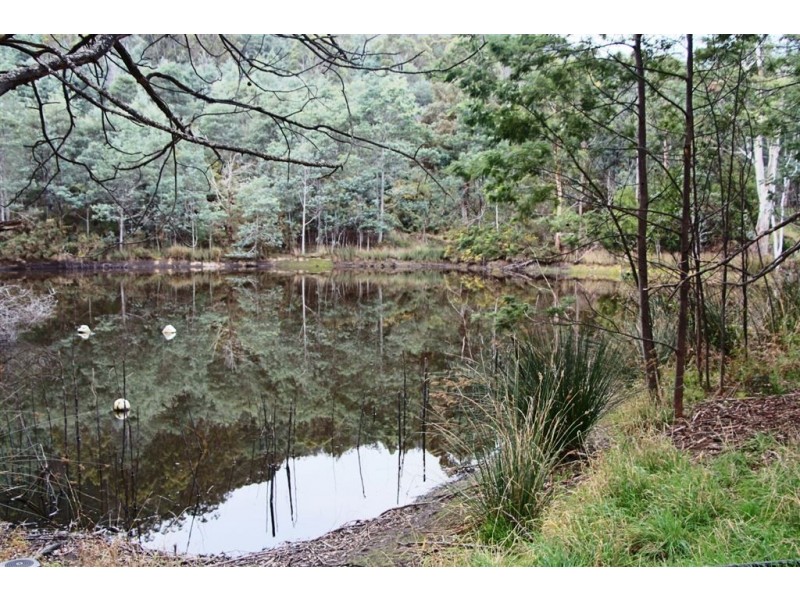 428 Cygnet Coast Road, Petcheys Bay TAS 7109