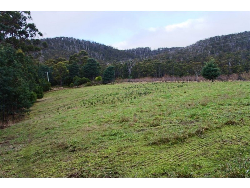 428 Cygnet Coast Road, Petcheys Bay TAS 7109