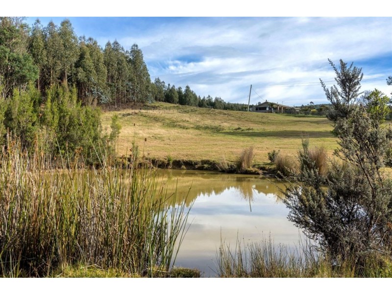 150 Hermons Road, Geeveston TAS 7116