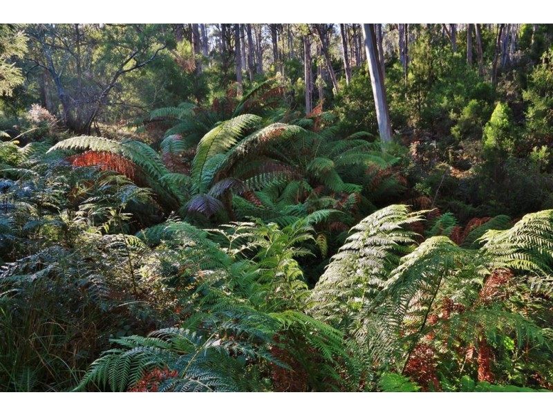 142 Dowlings Road, Huonville TAS 7109