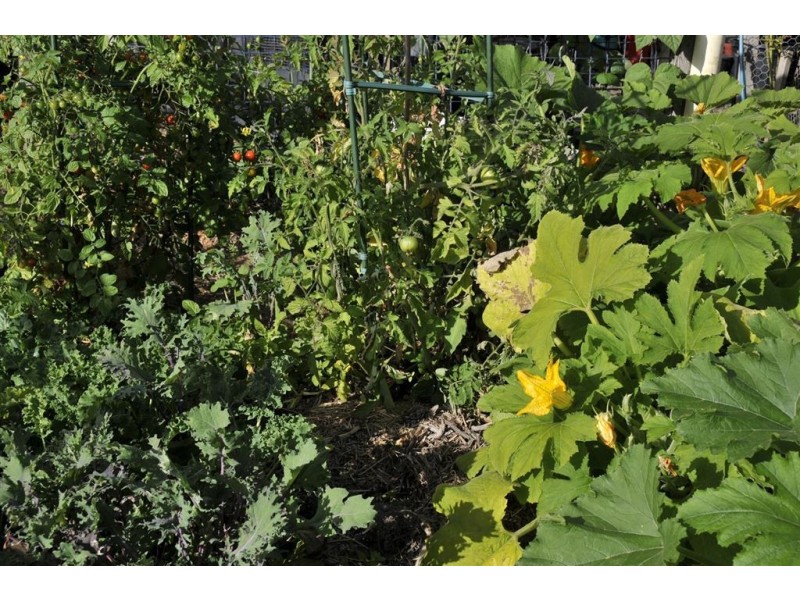 142 Dowlings Road, Huonville TAS 7109