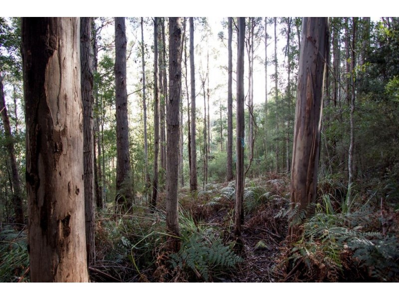 Lot 2, 44 Lloyds Road, Franklin TAS 7113