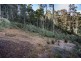 Lot 2, 44 Lloyds Road, Franklin TAS 7113