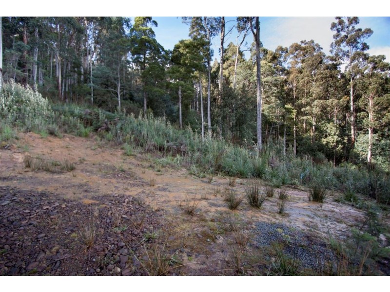 Lot 2, 44 Lloyds Road, Franklin TAS 7113