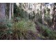 Lot 2, 44 Lloyds Road, Franklin TAS 7113