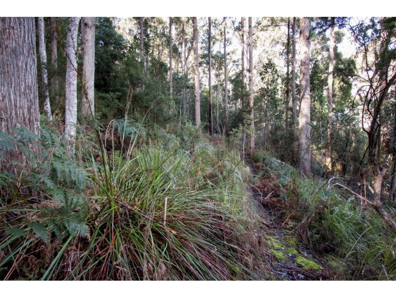Lot 2, 44 Lloyds Road, Franklin TAS 7113