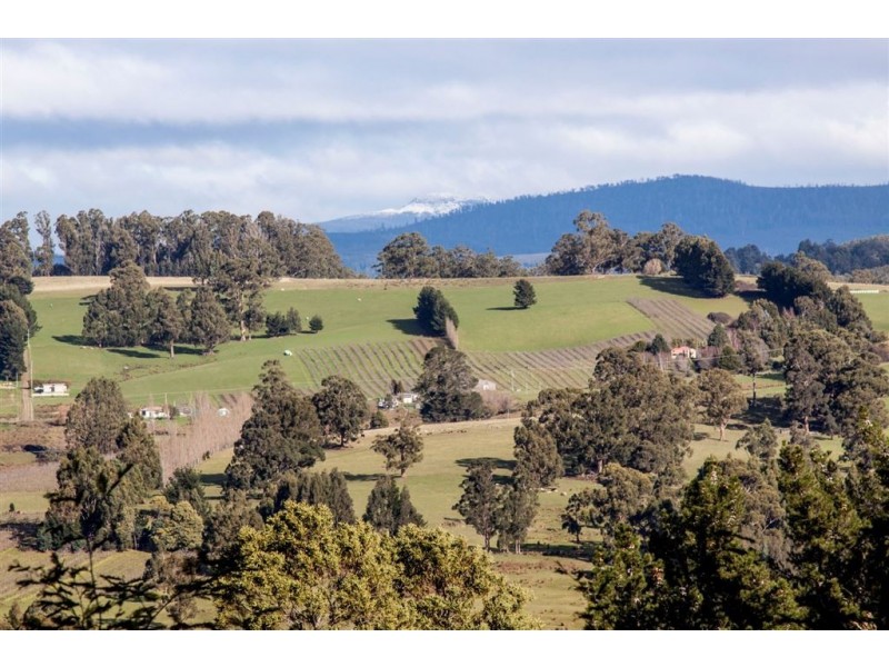 Lot 2, 44 Lloyds Road, Franklin TAS 7113