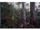 Lot 2, 44 Lloyds Road, Franklin TAS 7113