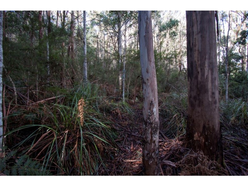 Lot 2, 44 Lloyds Road, Franklin TAS 7113