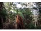 Lot 2, 44 Lloyds Road, Franklin TAS 7113