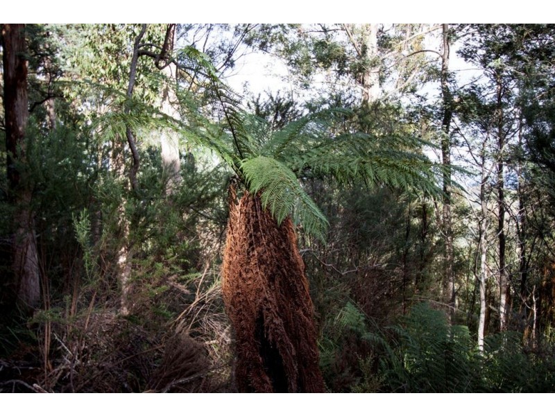 Lot 2, 44 Lloyds Road, Franklin TAS 7113