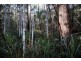 Lot 2, 44 Lloyds Road, Franklin TAS 7113