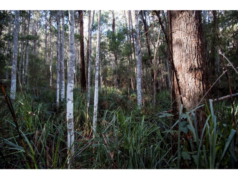 Lot 2, 44 Lloyds Road, Franklin TAS 7113