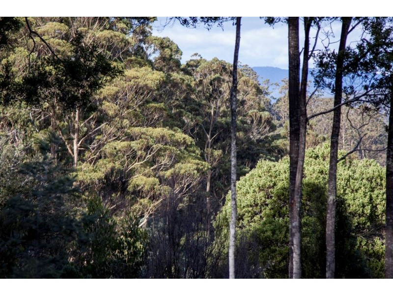 Lot 2, 44 Lloyds Road, Franklin TAS 7113