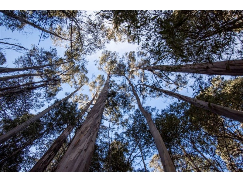 Lot 2, 44 Lloyds Road, Franklin TAS 7113