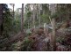 Lot 2, 44 Lloyds Road, Franklin TAS 7113