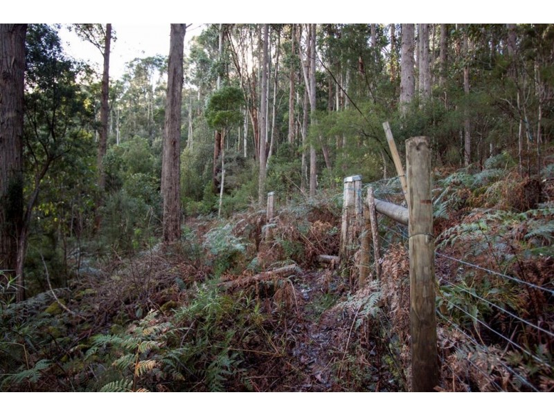 Lot 2, 44 Lloyds Road, Franklin TAS 7113