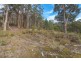 Lot 0785 Wallis Road, Judbury TAS 7109