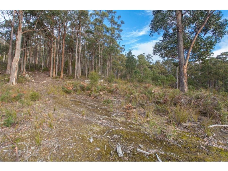 Lot 0785 Wallis Road, Judbury TAS 7109