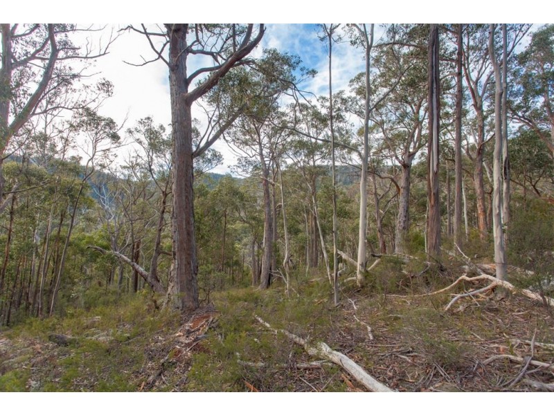 Lot 0785 Wallis Road, Judbury TAS 7109