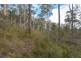 Lot 0785 Wallis Road, Judbury TAS 7109