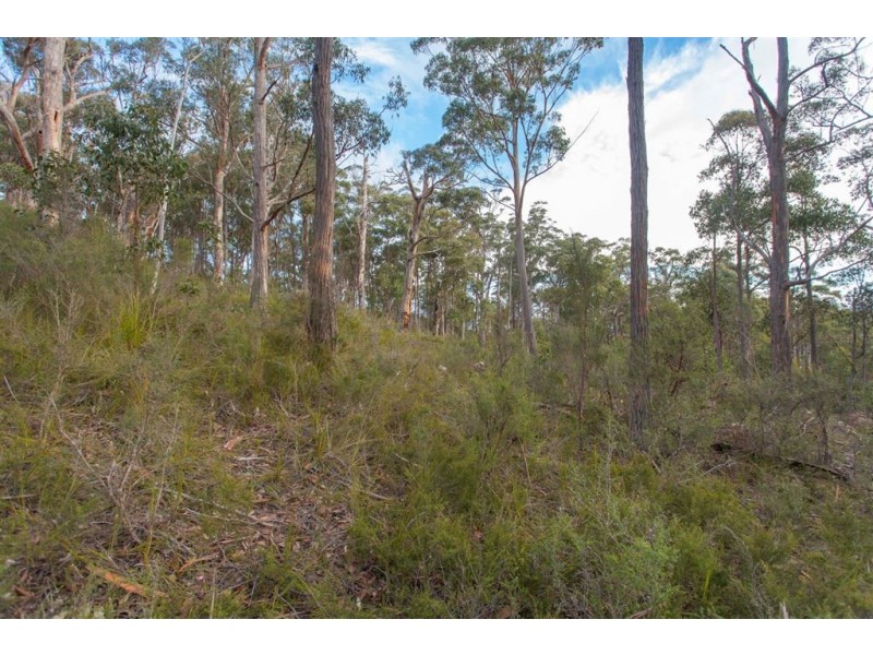 Lot 0785 Wallis Road, Judbury TAS 7109